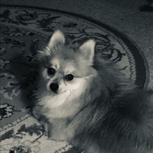 Meet your Posher, Stacey